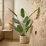 Ibella Boutique Bed & Breakfast