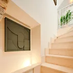 Ibella Boutique سبليت